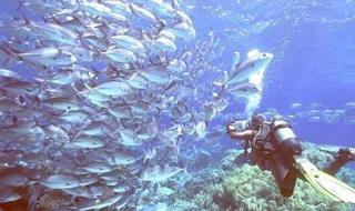 太平洋海底世界