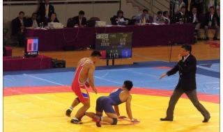 2013辽宁全运会开幕式